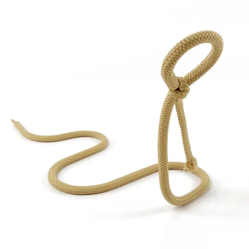 Snake Bracket Wine Bottle Holder