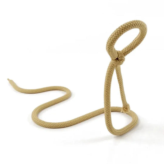 Snake Bracket Wine Bottle Holder